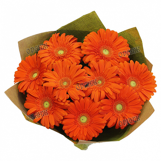 Букет из оранжевых гербер — фото 2