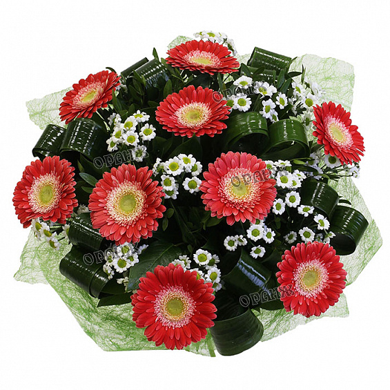 Букет из мини гербер и хризантемы Сантини — фото 2