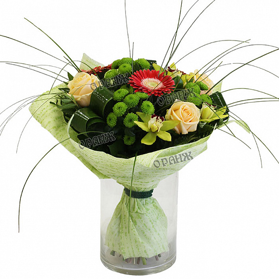 Букет из мини гербер, мини орхидей, роз и хризантемы Сантини — фото 1