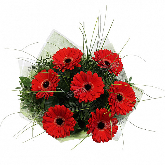 Букет из красных гербер — фото 2